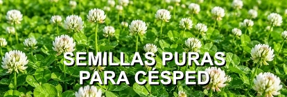 menu semillas puras ltc