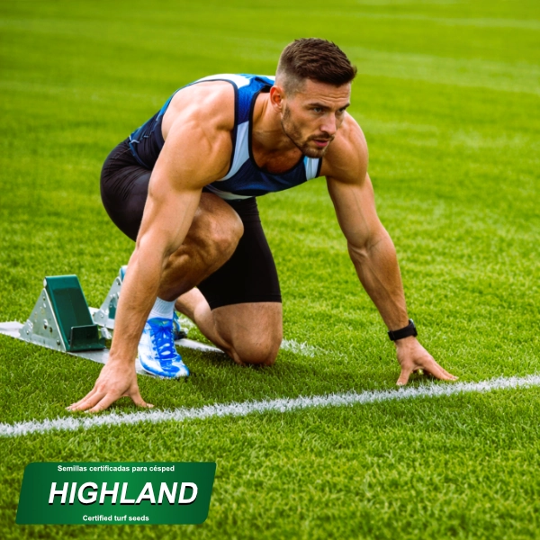 producto mezcla semillas highland