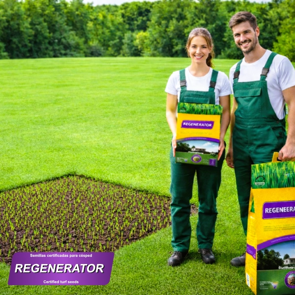 producto mezcla semillas regenerator