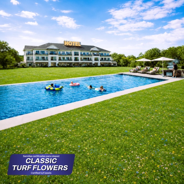 classic turf flowers portada 1 1