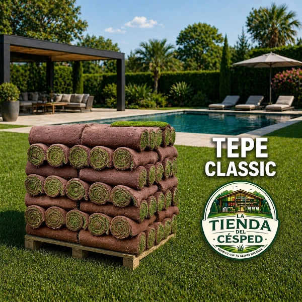 tepe classic