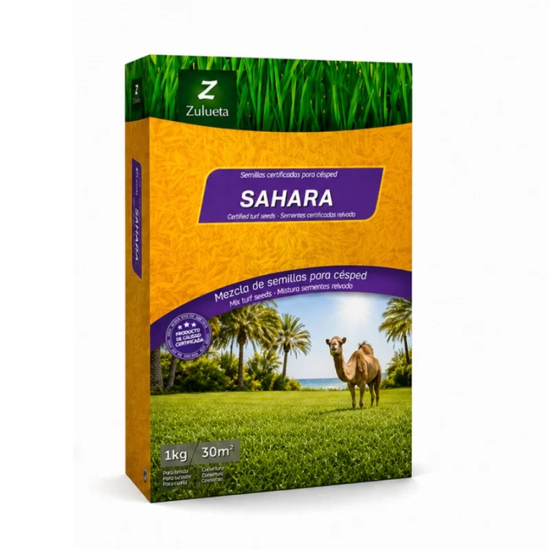 sahara 1kg